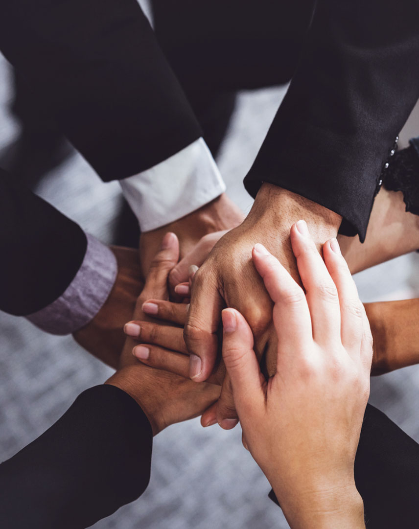 Công ty TNHH Công nghệ Công nghệ Vearjiang Shuangnuo, Ltd.